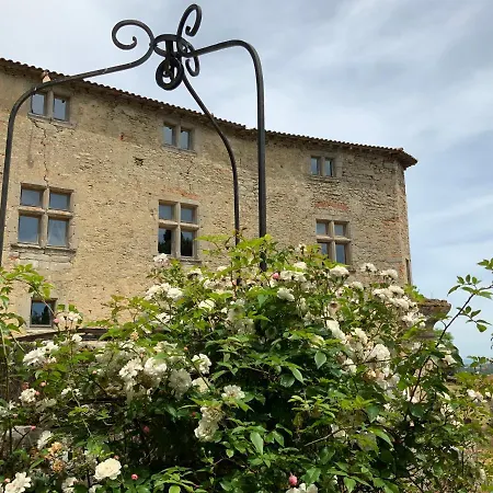 Chateau De Mezerville