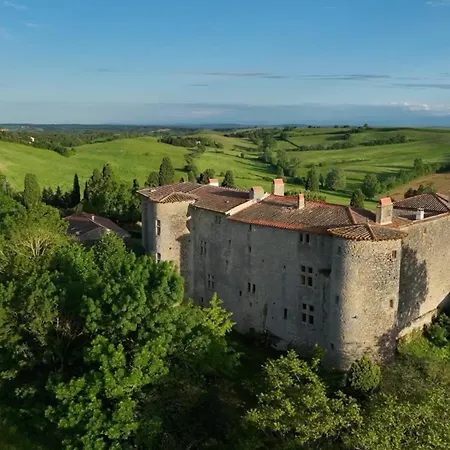 Chateau De Bed & Breakfast Mezerville